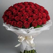 Букет 101 Красная роза Блэк Мэджик в Выдрино