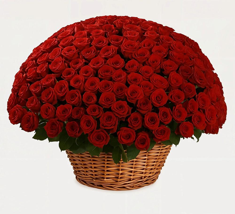 Премиум букет из: Розы в Выдрино