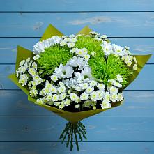 Букет цветов из:  Хризантемы #REPLACE_PRED# Выдрино