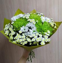 Букет цветов из:  Хризантемы #REPLACE_PRED# Выдрино