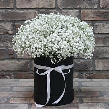 Цветочная композиция из Гипсофила в шляпной коробке в Выдрино